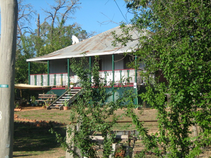 photograph