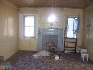 photograph