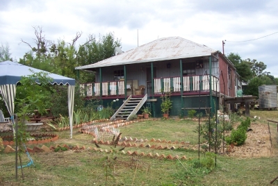 photograph